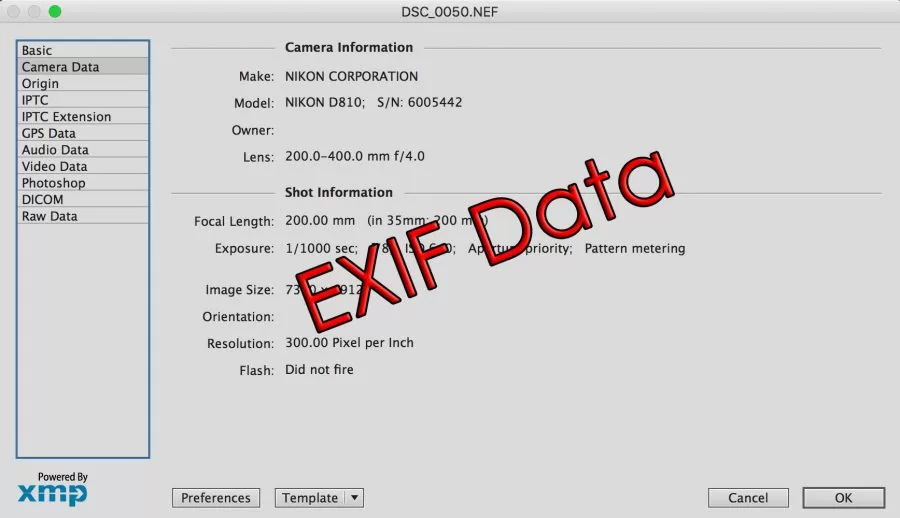 Vận dụng EXIF data để cải thiện SEO hình ảnh 