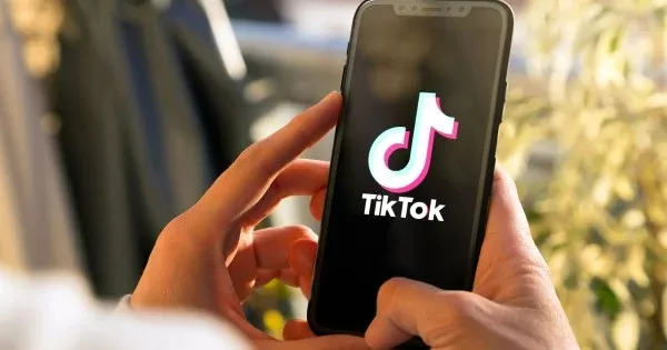User behavior drives TikTok SEO success