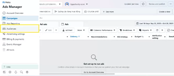 Get into Audiences Interface