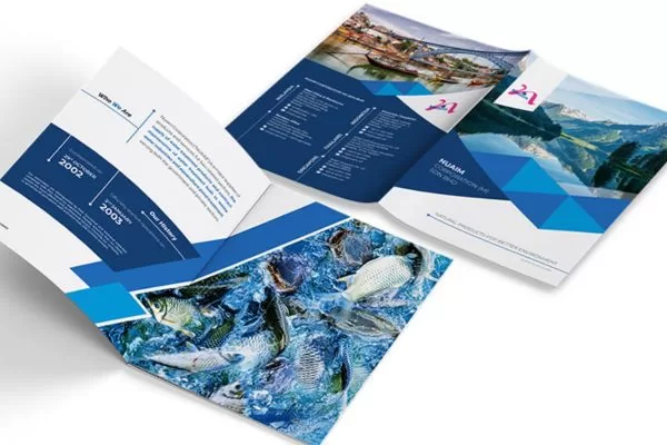 Critical FAQs about preparing a high-impact company profile