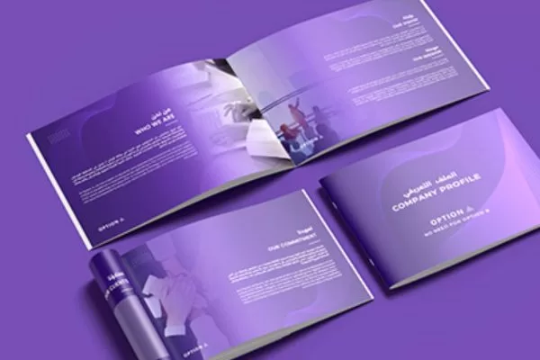 Understanding different approaches to professional company profiles