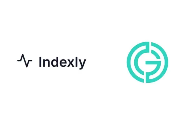 Third-party site indexers speed up and automate indexing checks