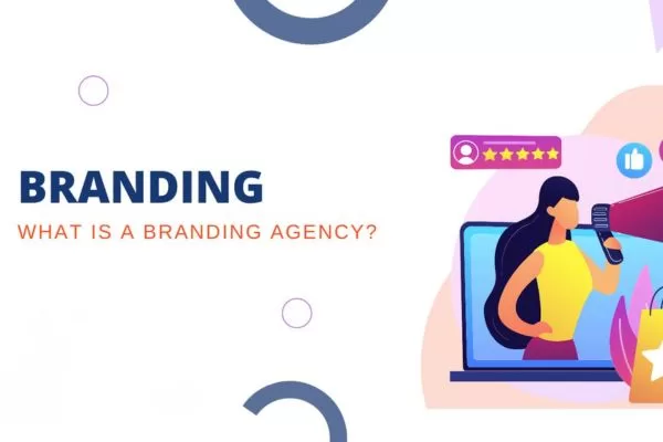 Complete overview of agency structures, services, and working models