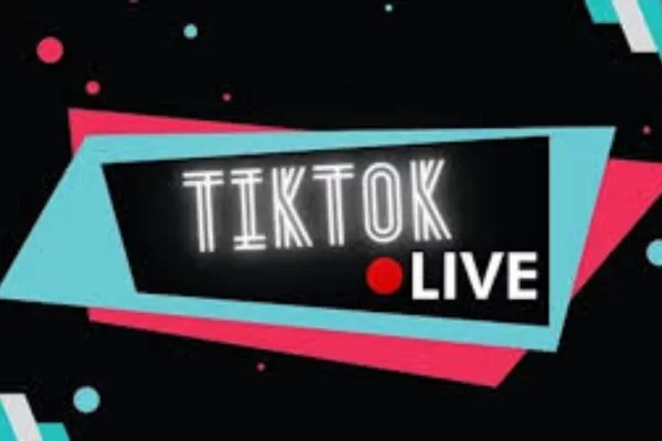 Various elements affect when your TikTok audience is most active