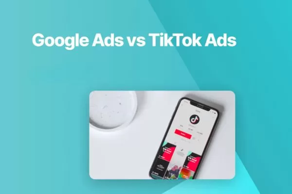 Audience demographic differences across major digital advertising platforms