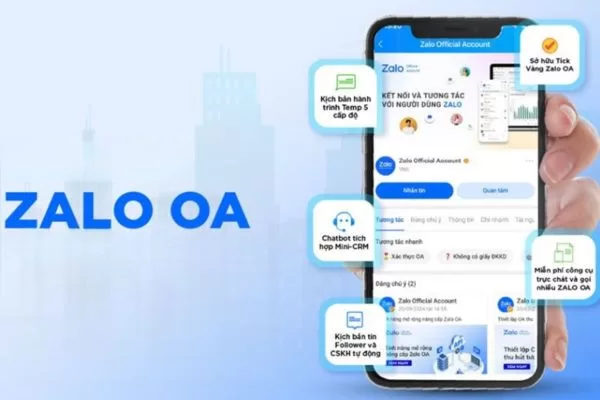 Key information for understanding account types and audience interaction