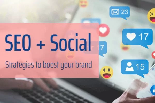 Well-optimized social profiles supporting stronger brand discoverability