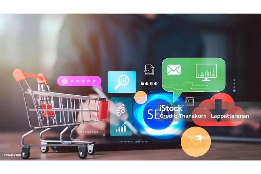 SEO Ecommerce: Cách Tăng Khả Năng Hiển Thị Và Doanh Thu Cho Website Bán Hàng-2